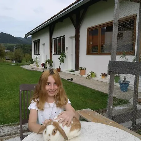 Rappitsch Sankt Marein bei Knittelfeld